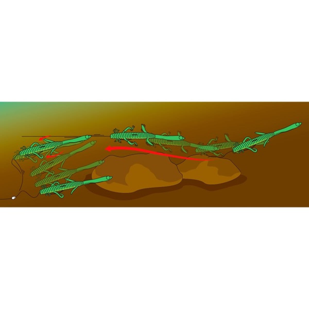 deps DEATHADDER LIZARD 8" (5 pcs/pack) #12 GREEN PUMPKIN