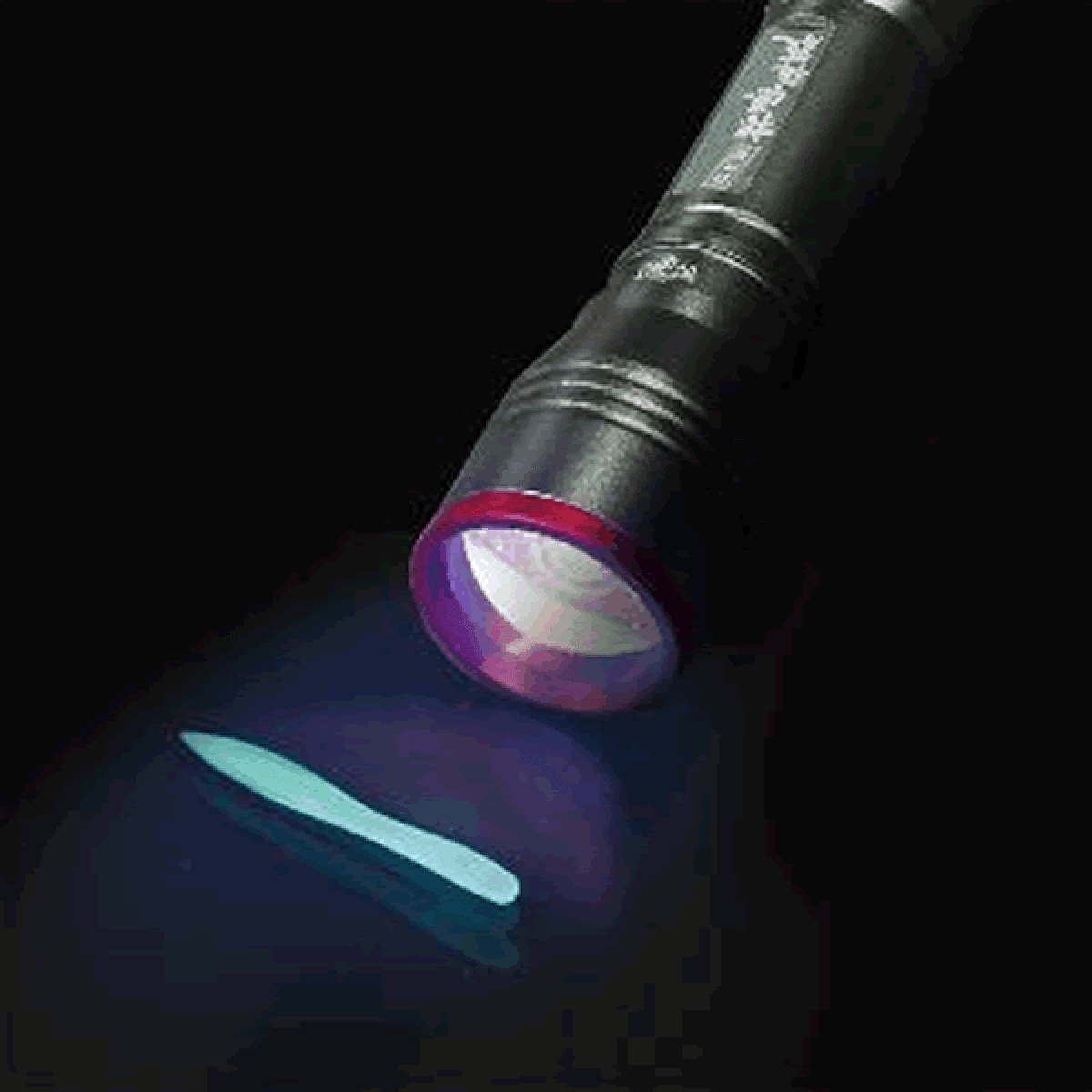 PROX YONDAIME NEZAKANAGONZO LED PX9184GP PURPLE - Britannic Trade