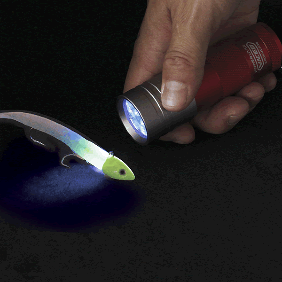 PROX KYOU KYORYOKU V HANDY LIGHT 12LED VC202KW BLACK / WHITE - Britannic Trade