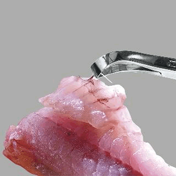 PROX KOBONENUKI PLIERS FLAT BLADE 138mm PX424FLS SILVER STAINLESS - Britannic Trade