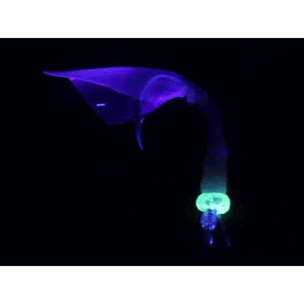 DAIWA KAITEKI SYOKUNIN SABIKI SOFT AMAEBI 175cm : 7-1.5 PINK - Britannic Trade