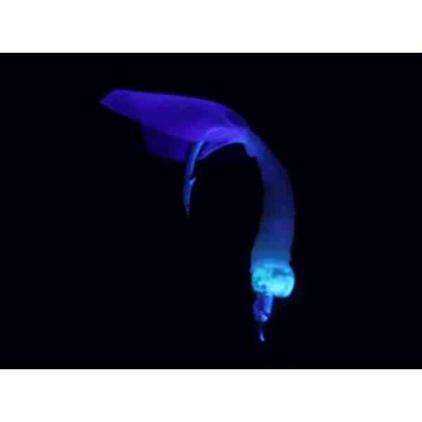 DAIWA KAITEKI SYOKUNIN SABIKI SOFT AMAEBI 175cm : 8-2.0 WHITE - Britannic Trade