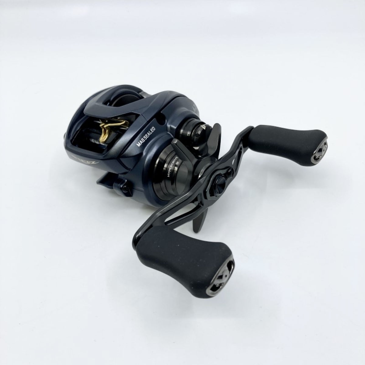 DAIWA 23 STEEZ A II TW 1000L
