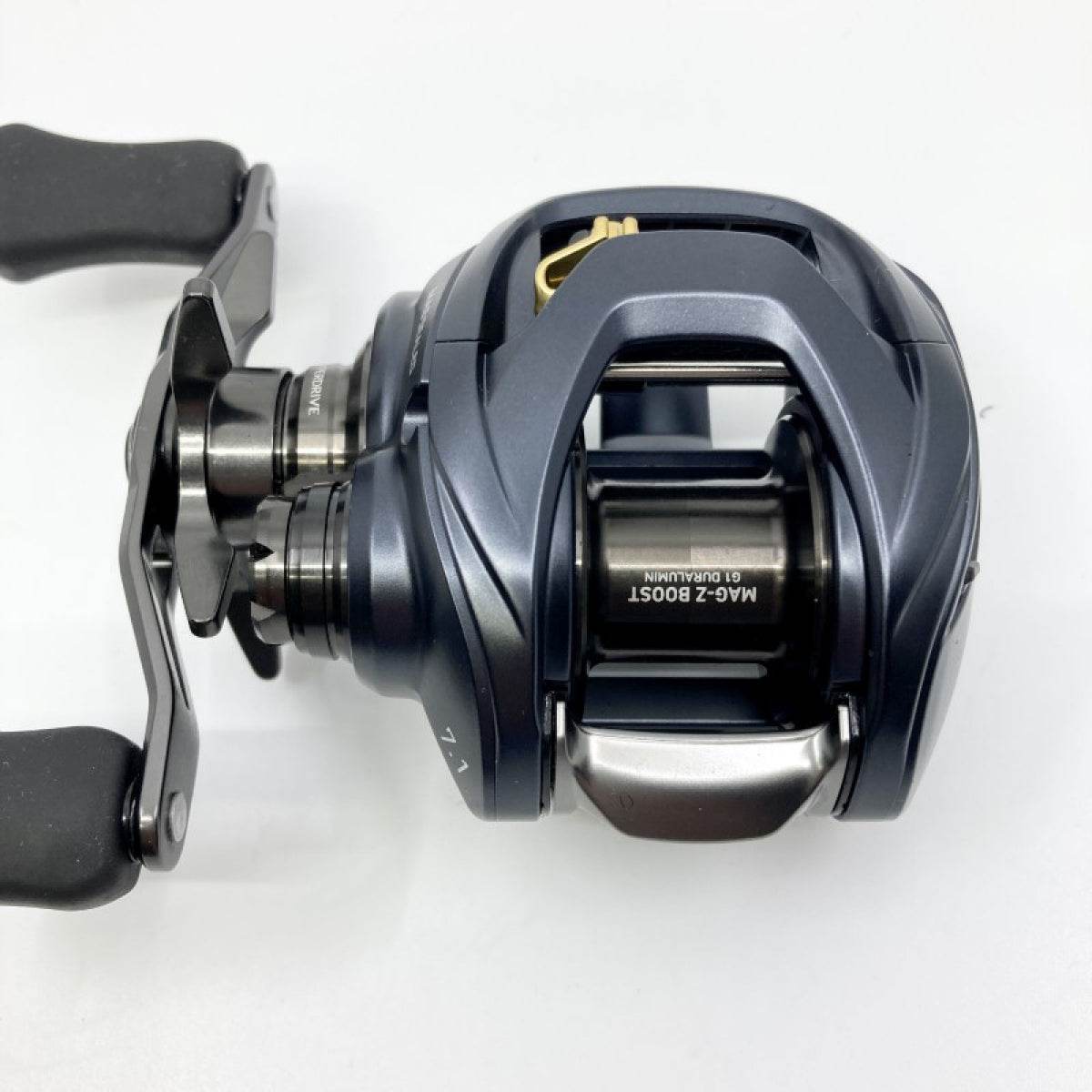 DAIWA 23 STEEZ A II TW 1000HL - Britannic Trade