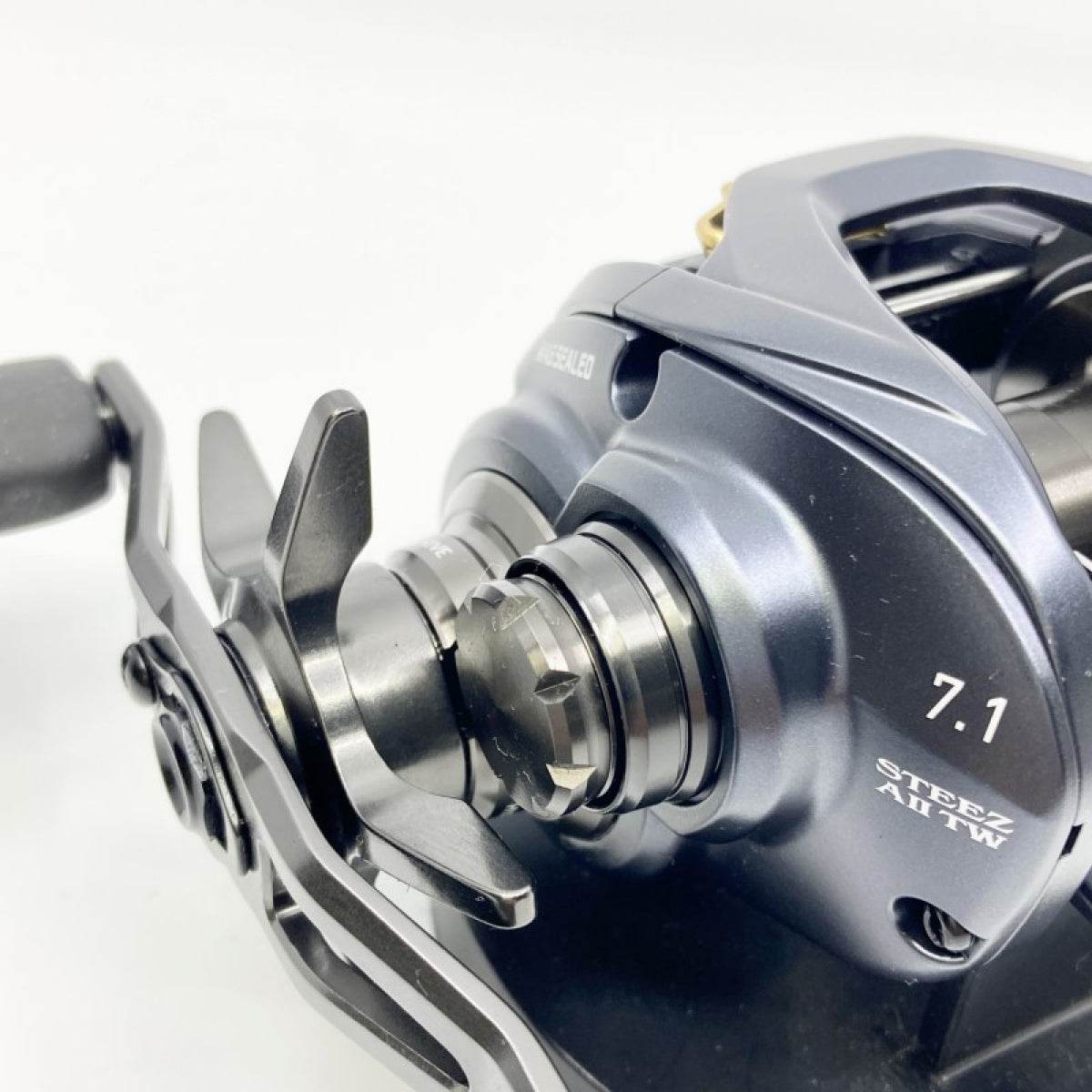 DAIWA 23 STEEZ A II TW 1000HL - Britannic Trade
