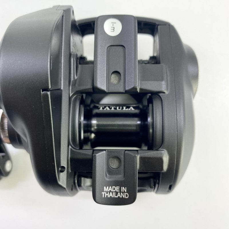 DAIWA 24 TATULA TW 100XH - Britannic Trade