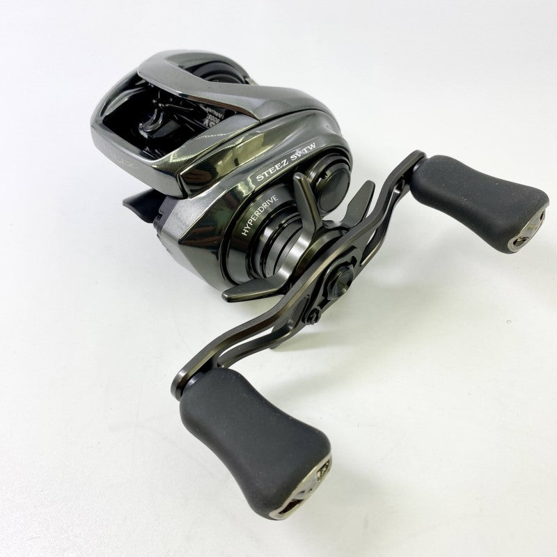 DAIWA 24 STEEZ SV TW 100HL