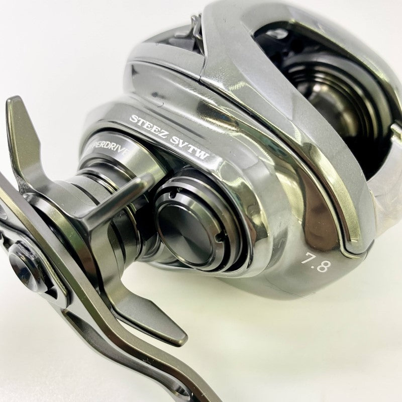 DAIWA 24 STEEZ SV TW 100HL