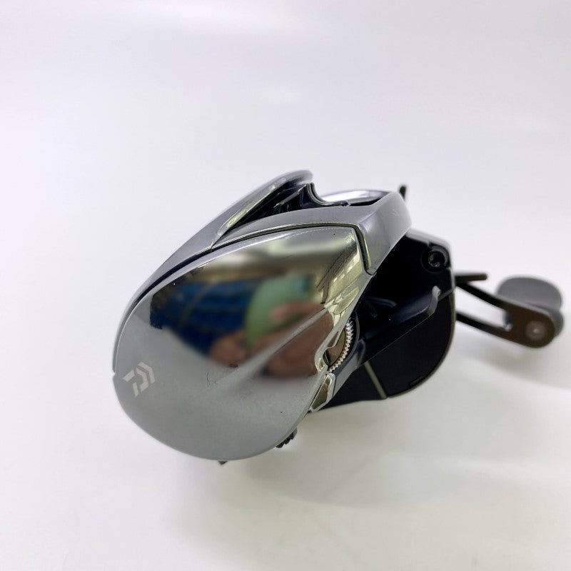 DAIWA 24 STEEZ SV TW 100HL