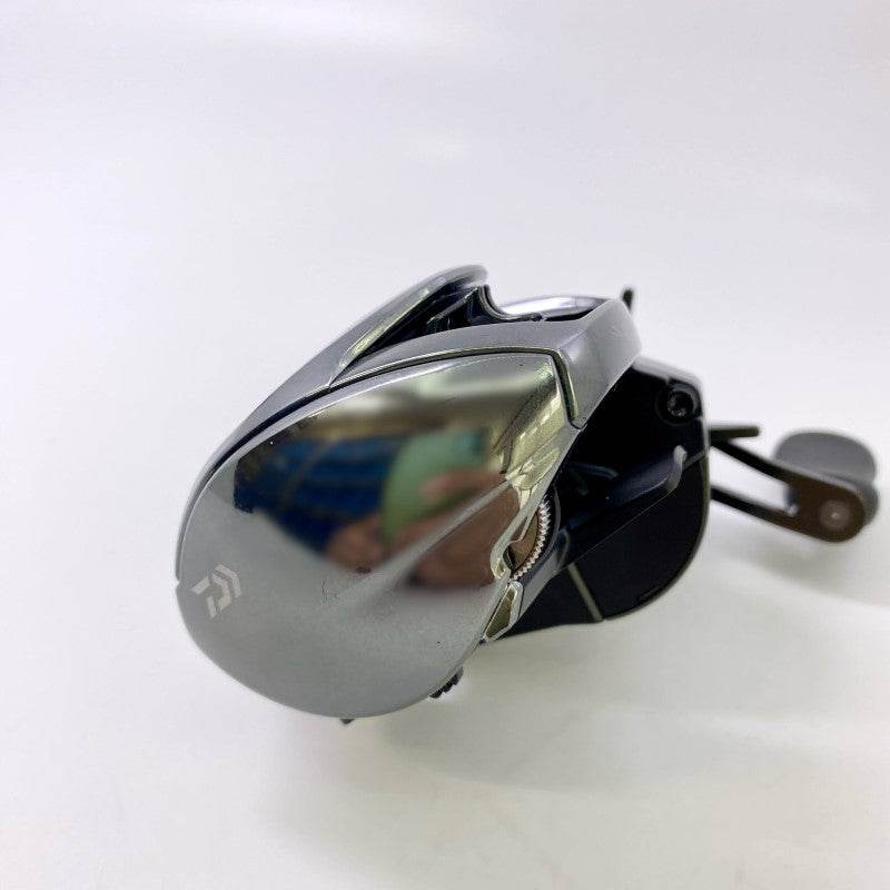 DAIWA 24 STEEZ SV TW 100HL - Britannic Trade