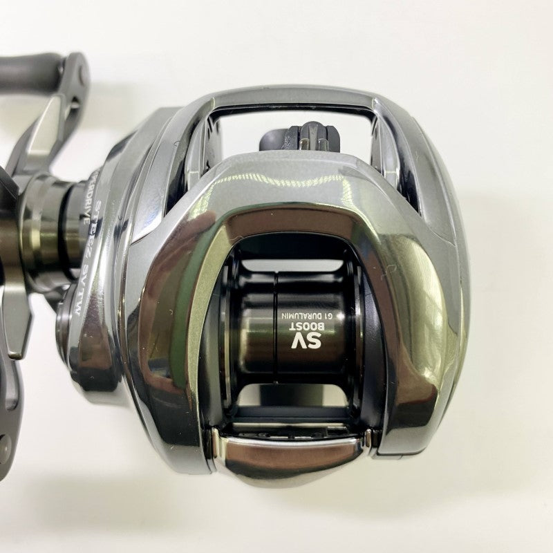 DAIWA 24 STEEZ SV TW 100HL