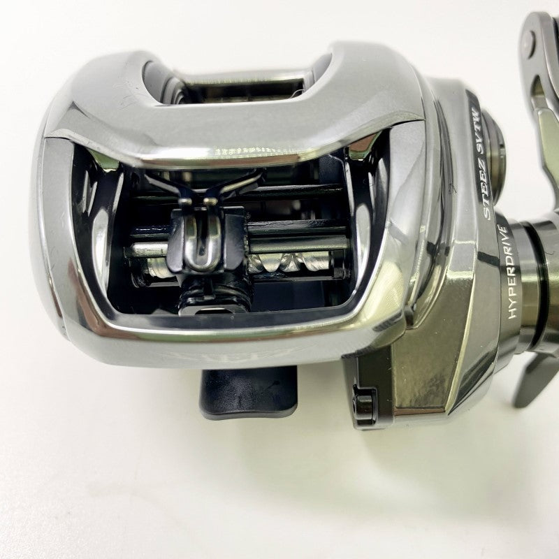 DAIWA 24 STEEZ SV TW 100HL