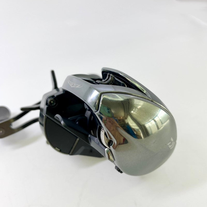 DAIWA 24 STEEZ SV TW 100XH