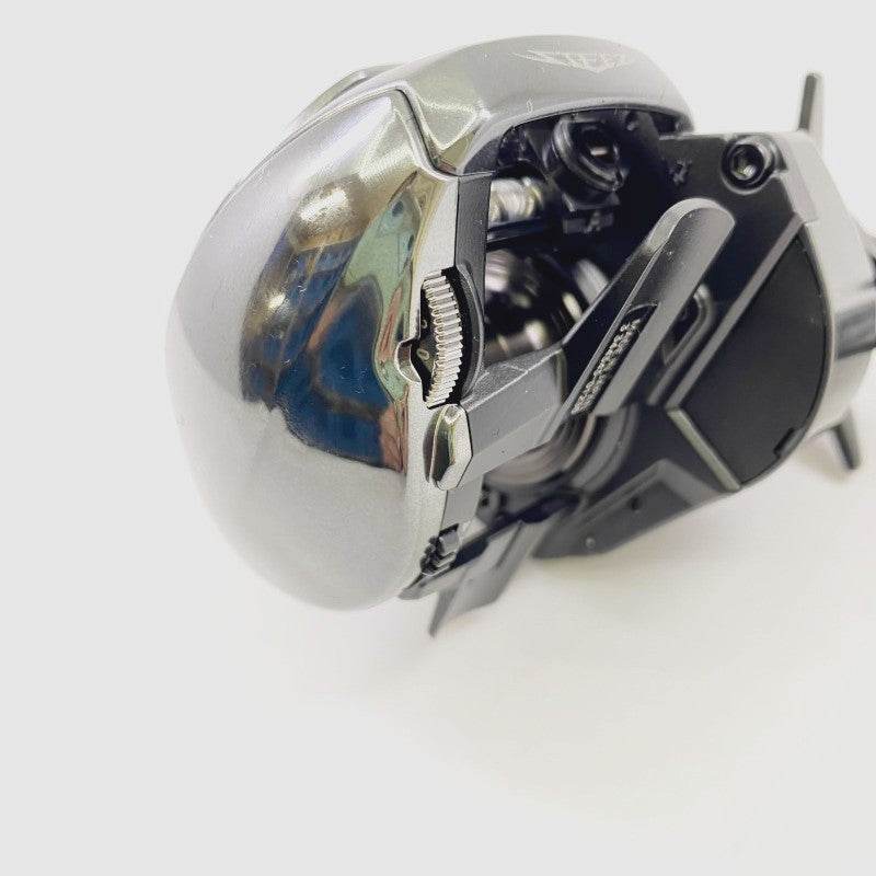 DAIWA 24 STEEZ SV TW 100XHL - Britannic Trade