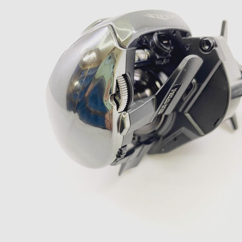 DAIWA 24 STEEZ SV TW 100XHL LEFT