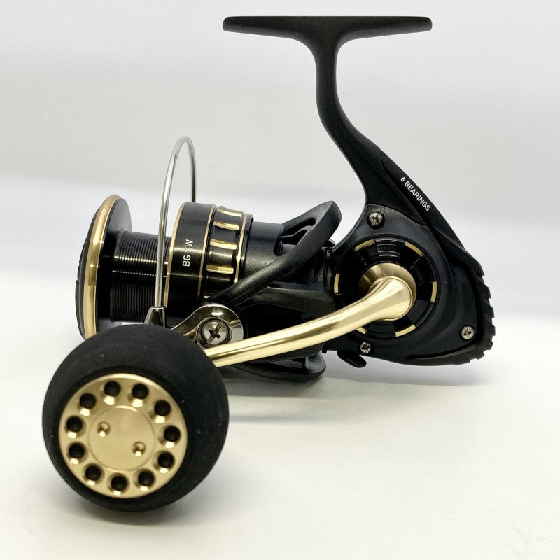 DAIWA BG SW 23 BG SW 4000D-CXH fishing reel