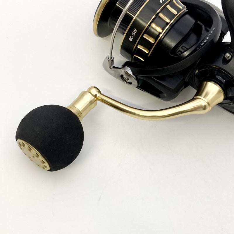 DAIWA BG SW 23 BG SW 4000D-CXH