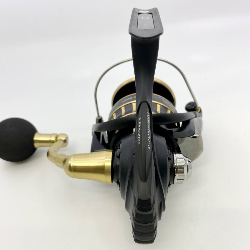 DAIWA 23 BG SW 6000D-P