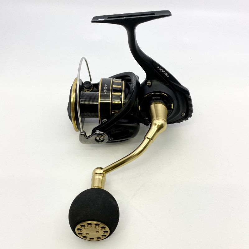 DAIWA 23 BG SW 6000D-P