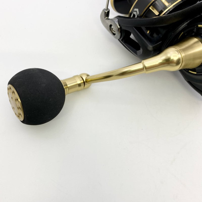 DAIWA 23 BG SW 6000D-P