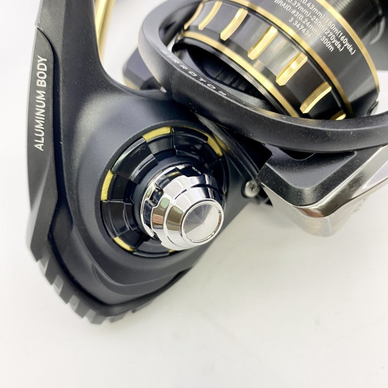 DAIWA 23 BG SW 6000D-P
