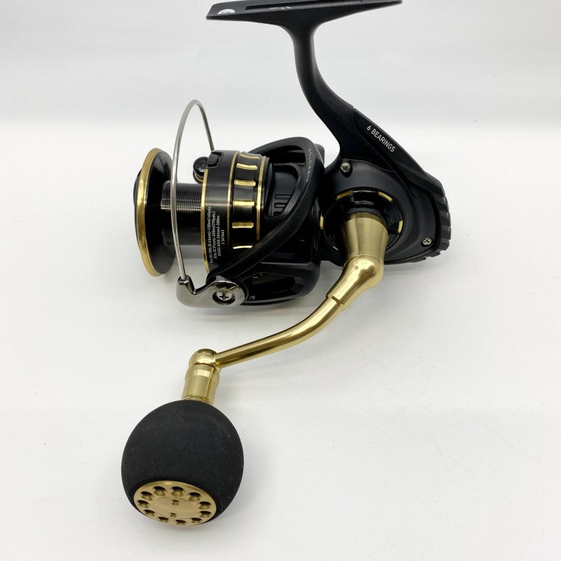 DAIWA 23 BG SW 6000D-H