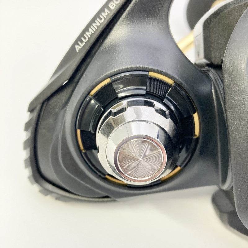 DAIWA 23 BG SW 10000-H - Britannic Trade