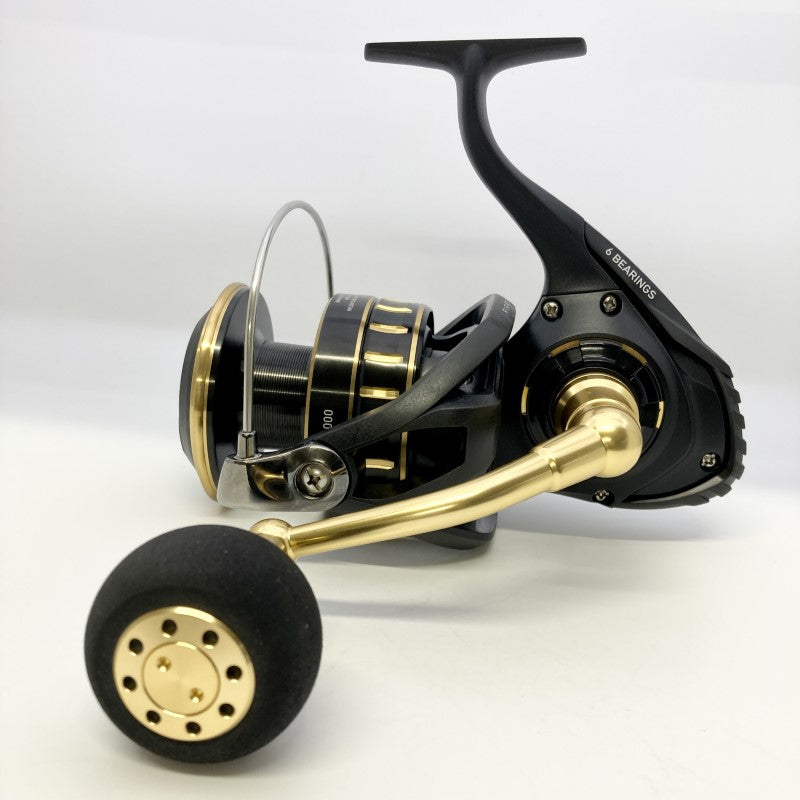 DAIWA BG SW 23 BG SW 18000 fishing reel