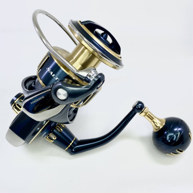 DAIWA SALTIGA 25 SALTIGA 10000-P