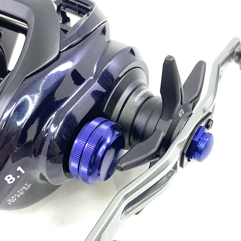 DAIWA 23 SALTIST TW 300XH PE SPECIAL