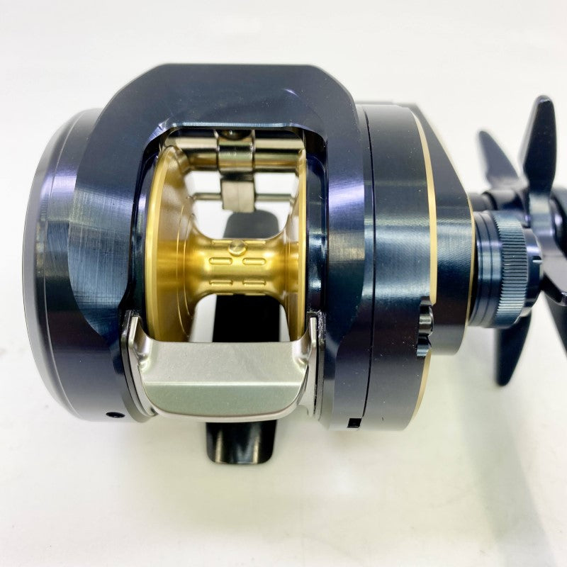 DAIWA 25 SALTIGA 300