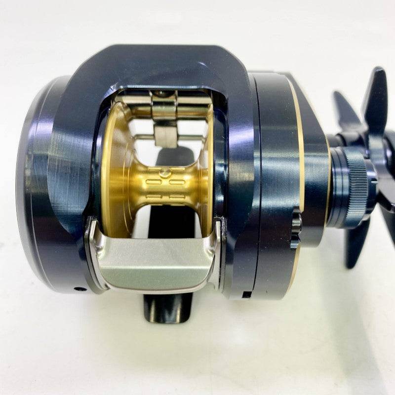 DAIWA 25 SALTIGA 300 - Britannic Trade