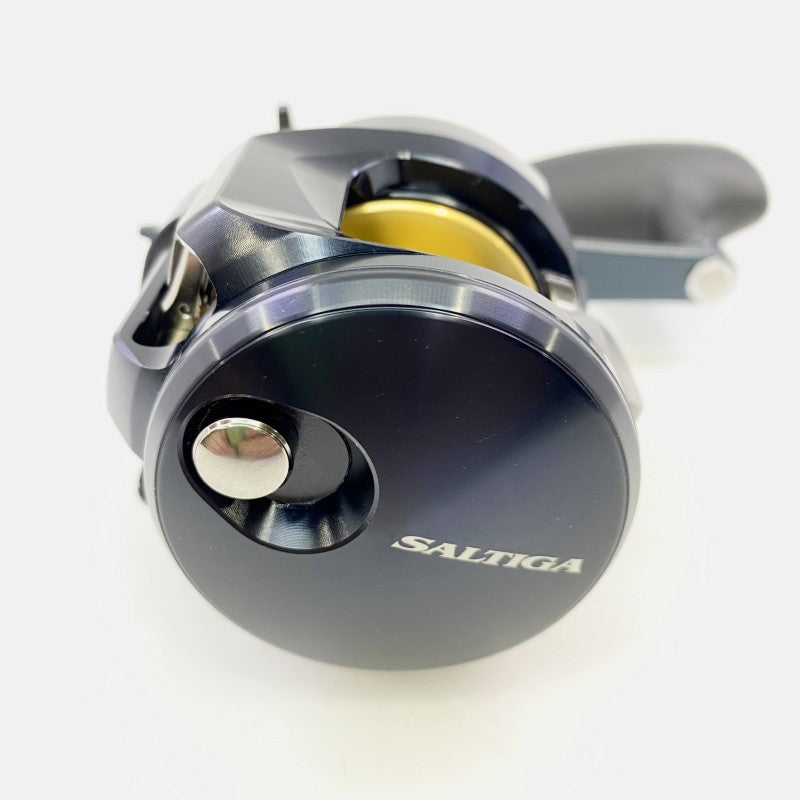 DAIWA 25 SALTIGA 300