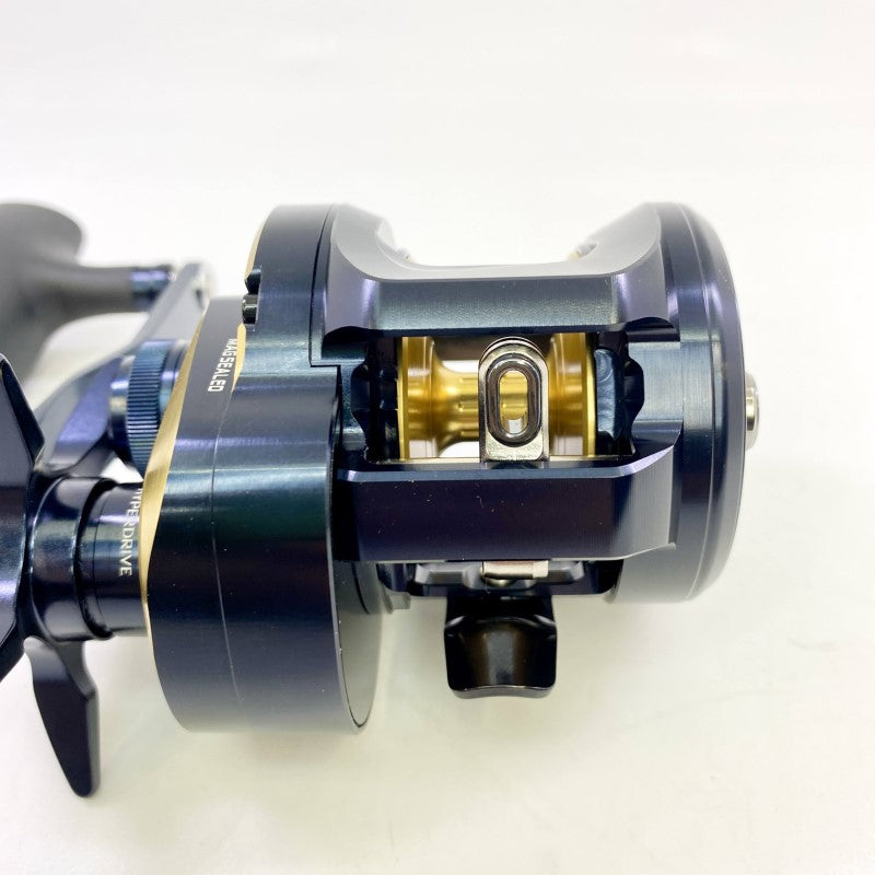 DAIWA SALTIGA 300 25 SALTIGA 300 RIGHT