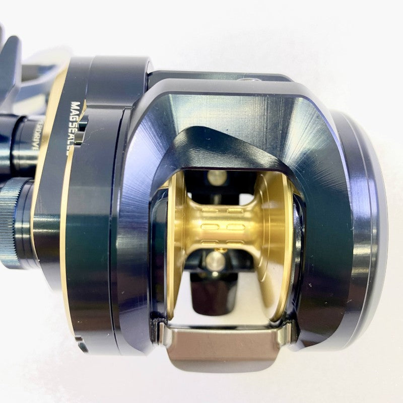 DAIWA 25 SALTIGA 300L