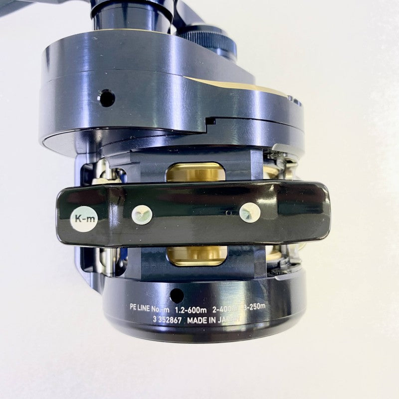 DAIWA 25 SALTIGA 300L