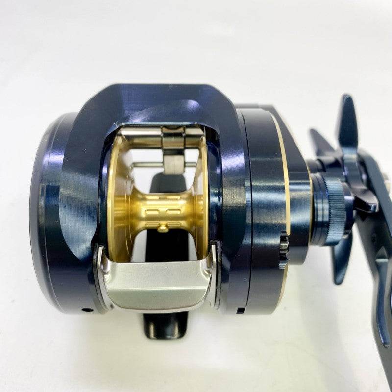 DAIWA 25 SALTIGA 300H - Britannic Trade