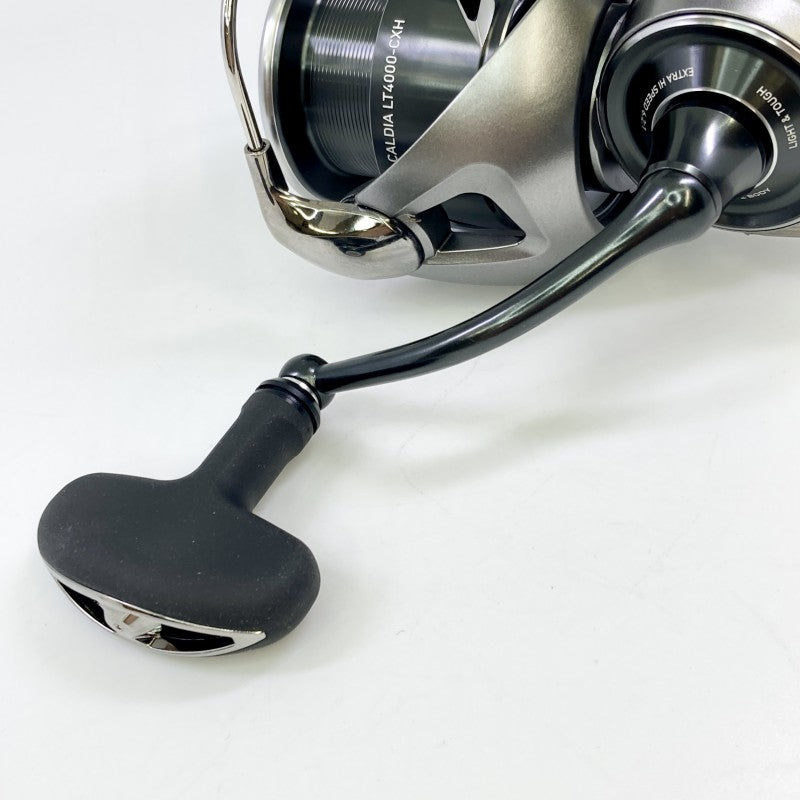 DAIWA 25 CALDIA LT 4000-CXH