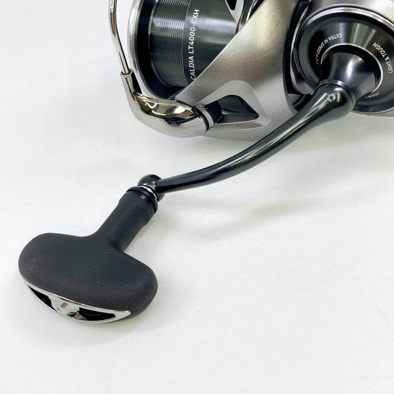 DAIWA 25 CALDIA LT 4000-CXH - Britannic Trade