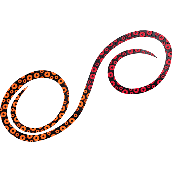 DAIWA KOHGA SILICON NECKTIE 3D Y.S. TWIN CURLY 500mm TAKO ASHI ORANGE+RED