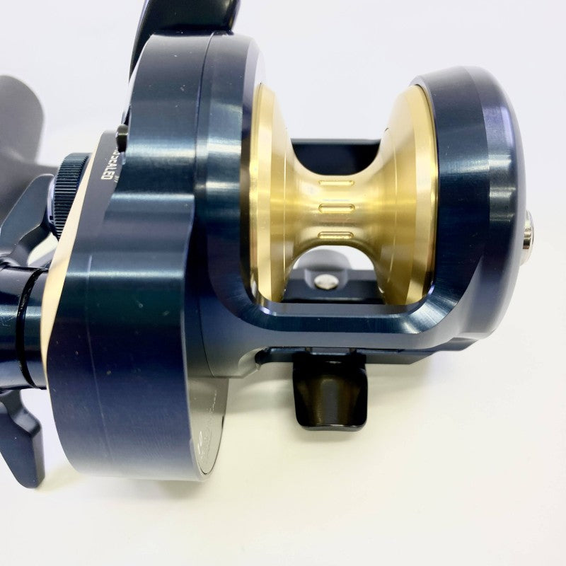 DAIWA 25 SALTIGA 10