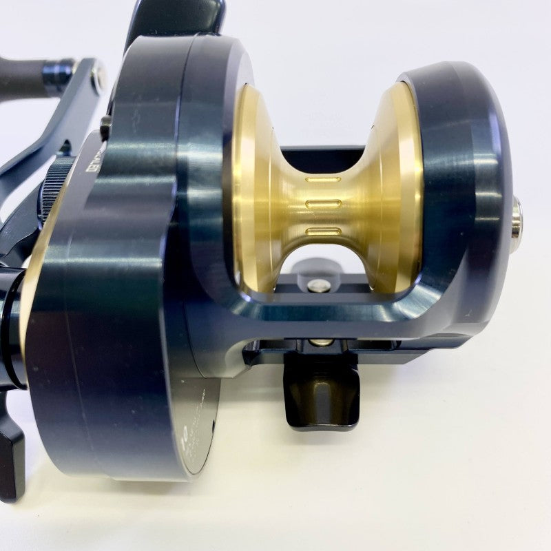 DAIWA 25 SALTIGA 10H