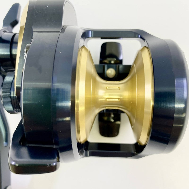 DAIWA 25 SALTIGA 10HL