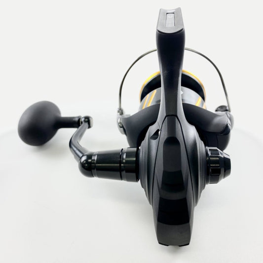 DAIWA 26 BG SW 10000-H