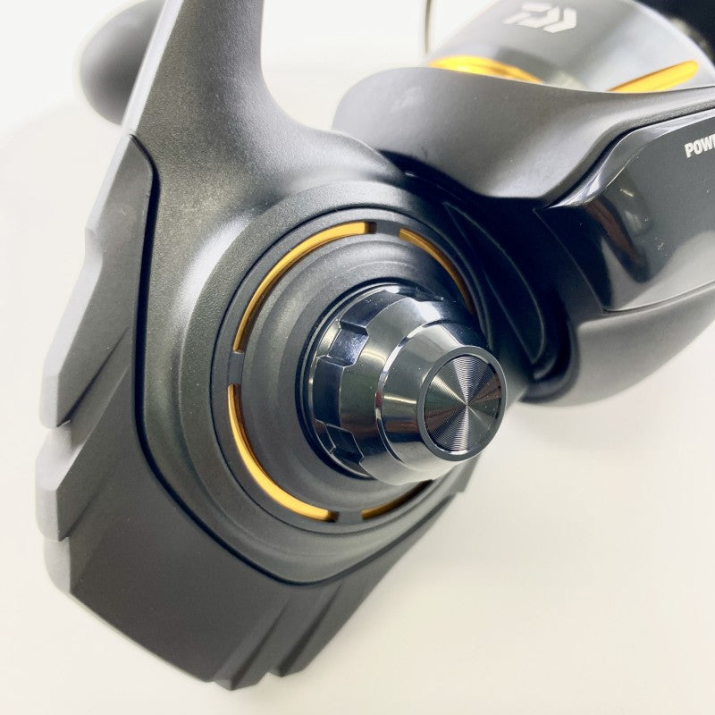 DAIWA 26 BG SW 14000-H