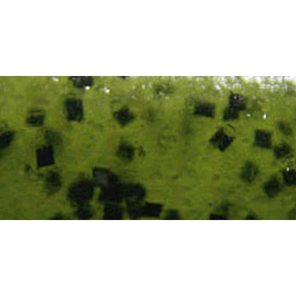 Bait Breath VEIN U30 6.8" (7 pcs/pack) #106 WM / SEED freshwater fishing lure