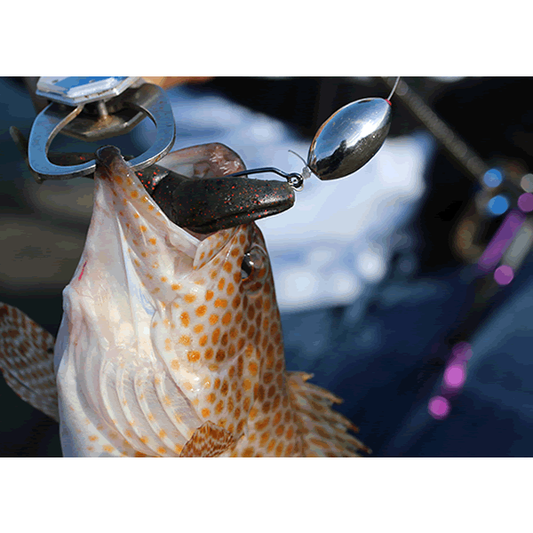 Arukazik Japan Re: Bullet Natsume Value Pack 14g (10 pcs/pack) fishing terminal tackle — photo 2