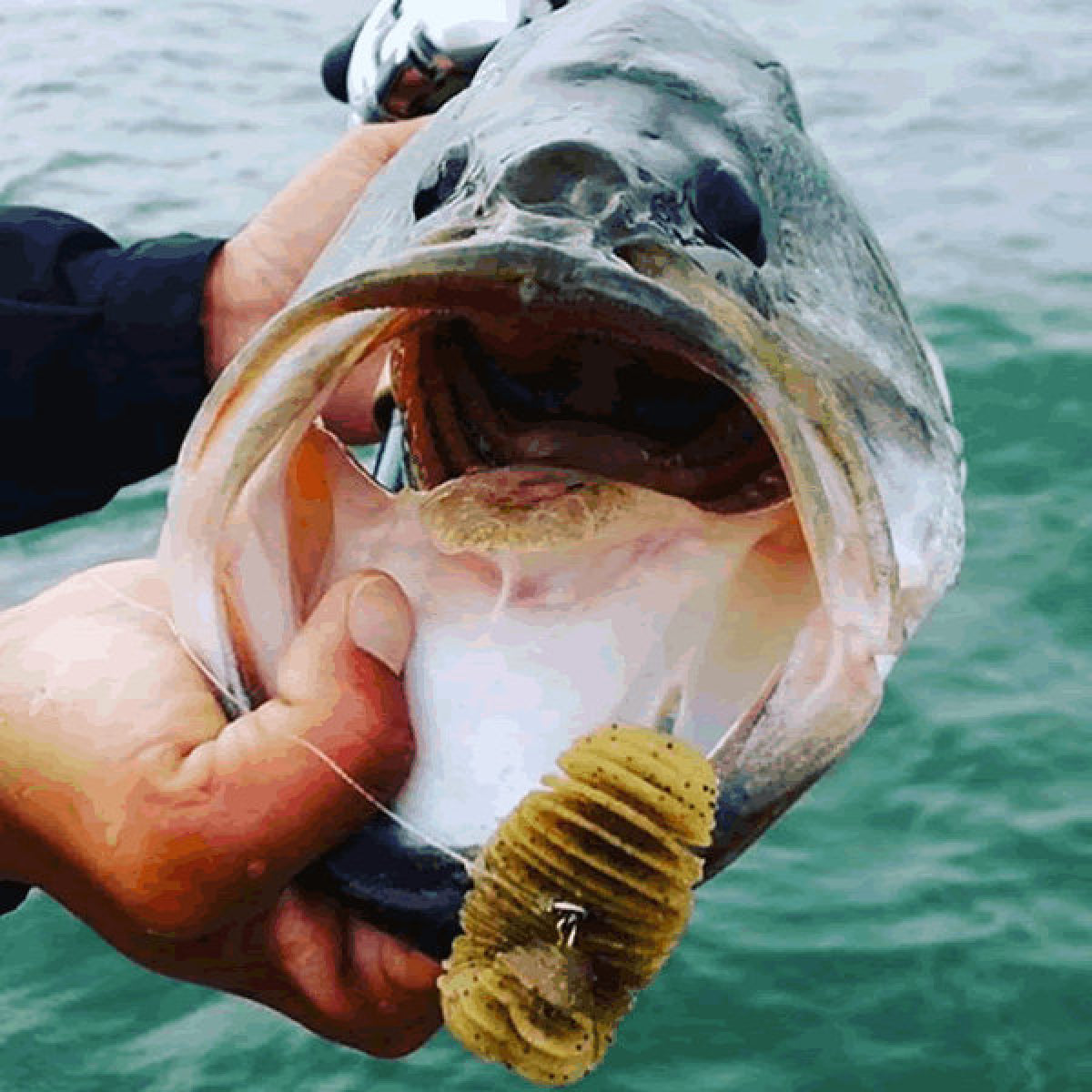 GEECRACK BELLOWS GILL 2.8" (6 pcs/pack) #253 SOLID BLACK