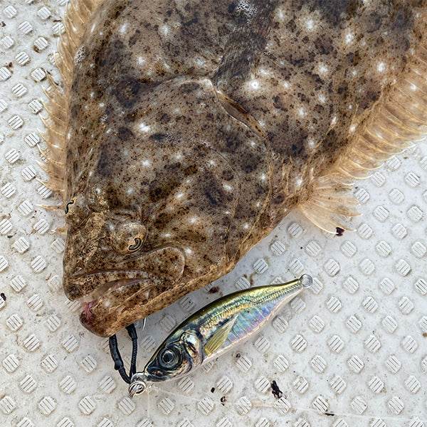 LITTLE JACK METAL ADICT type06-100g 86mm : 100g #03 KATSUAJI - Britannic Trade