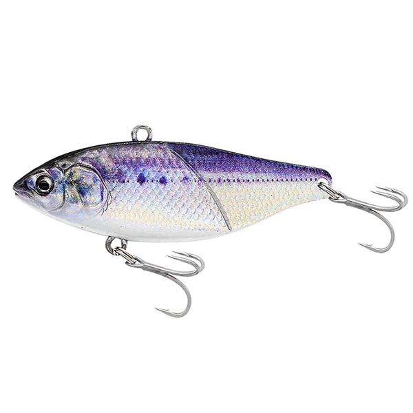 LITTLE JACK More Keen-02 60mm : 21g Sinking #03 UV (KEIMURA) SALDINE(MAIWASHI) saltwater fishing lure